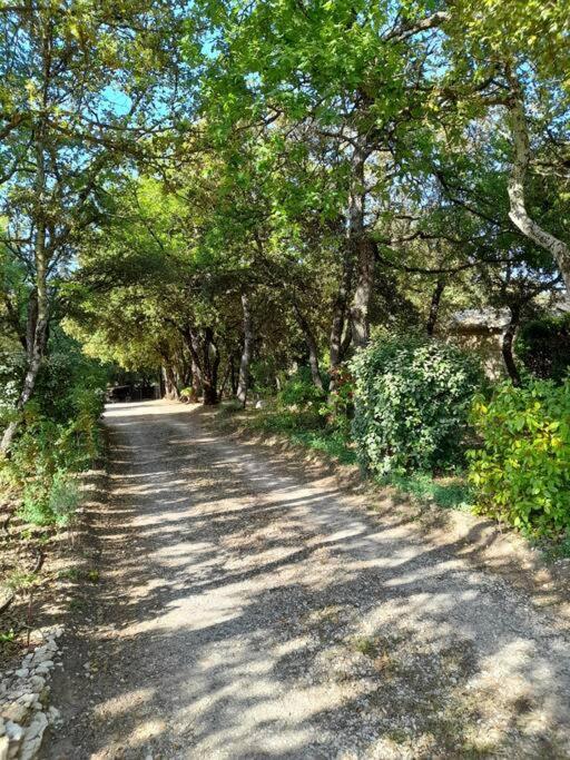 Villa Le Bosquet En Luberon. Ménerbes Eksteriør billede